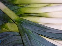 P1000134