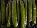 P1000232
